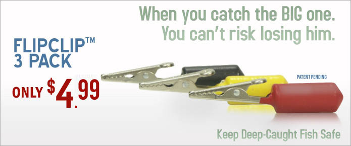 Buy the FlipClip, Don't Risk Losing the Big One.